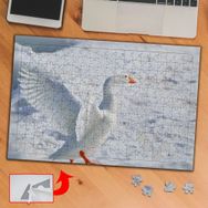 BF953 Buzuldaki Beyaz Ördek 240 Parça Puzzle Yapboz Tablo