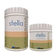Bianca F096 1 Lt 2024 Colorate Stella Su Bazlı Saf Akrilik Boya