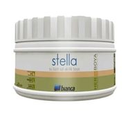 Bianca Stella 0.25 lt Eskitme Saf Akrilik Boya