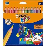 Bic 24'lü Kuru Boya Kalemi