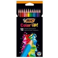 Bic 950527 Color Up 12 Renk Üçgen Kuru Boya
