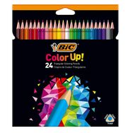 Bic 950528 Color Up Üçgen 24'lü Kutu Kuru Boya Kalemi