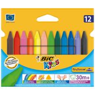 Bic Plastidecor 8297732 Elleri Kirletmeyen Üçgen 12'li Pastel Boya