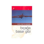 BIÇAĞA BASAR GIBI - METIN ÖNAL MENGÜŞOĞLU