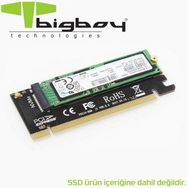 Bigboy BTC-M2NV161U PCIe 3.0 x16 PCIe NVMe M.2 1U Server Çevirici Ünite