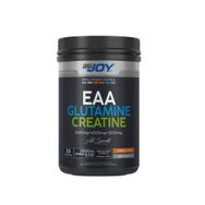 BigJoy 480 gr Portakal EAA + Glutamine + Creatine