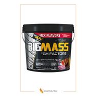 Bigjoy 5 kg Sports-bigmass Gh Factors Mix Gainer