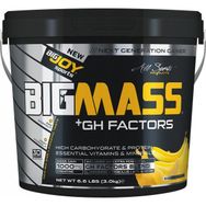 BigJoy Sports BIGMASS Gainer Mix-2 3000 gr Protein Tozu