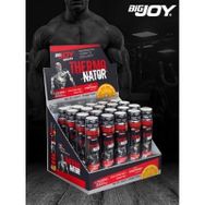 Bigjoy Sports Thermonator 20 X 40 Ml Termojenik L-Carnitine