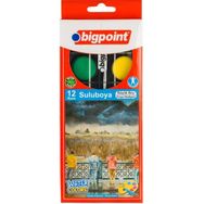 Bigpoint 12 Renk Suluboya