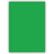 Bigpoint 50x70 cm 120 gr 100'lü Yeşil Fon Kartonu