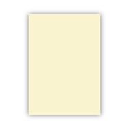 Bigpoint 50x70 cm 120 gr Fildişi Fon Kartonu