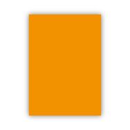 Bigpoint 50x70 cm 120 gr Turuncu Fon Kartonu