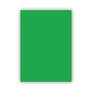 Bigpoint 50x70 cm 120 gr Yeşil Fon Kartonu