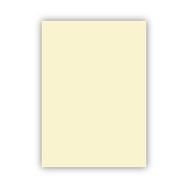 Bigpoint 50x70 cm 160 gr 100'lü Fildişi Fon Kartonu