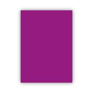 Bigpoint 50x70 cm 160 gr 100'lü Mor Fon Karton