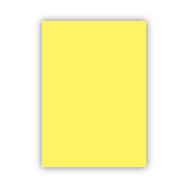 Bigpoint 50x70 cm 160 gr 100'lü Sarı Fon Karton