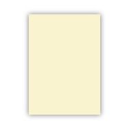Bigpoint 50x70 cm 160 gr Fildişi Fon Kartonu