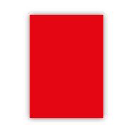 Bigpoint 50x70 cm 160 gr Kırmızı Fon Kartonu