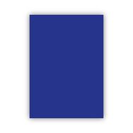 Bigpoint 50x70 cm 160 gr Lacivert Fon Kartonu