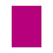 Bigpoint 50x70 cm Koyu Pembe Fosforlu Fon Kartonu