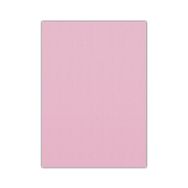 Bigpoint 50x70 cm Pembe 10'lu Eva Paketi