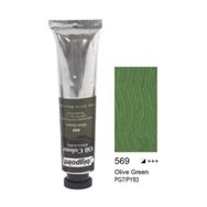 Bigpoint 569 Olive Green 45 ml Yağlı Boya