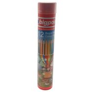 Bigpoint BP94112 12'li Metal Tüp Boya Kalemi