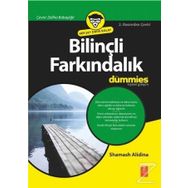 Bilinçli Farkındalık - Shamash Alidina