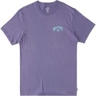 Billabong ABYZT01696-SKW0 Arch Fill Ss Erkek Mor Günlük Stil T-Shirt