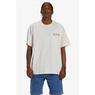 Billabong ABYZT02274 Arch Wave Erkek T-shirt