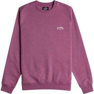 Billabong Arch Mor Erkek Sweatshirt