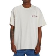 Billabong Arch Wave Tees Beyaz Erkek T-shirt