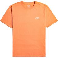 Billabong EBYKT00101 Arch Renkli Erkek T-shirt