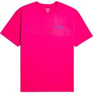 Billabong EBYZT00101 Arch Wave Renkli Erkek T-shirt