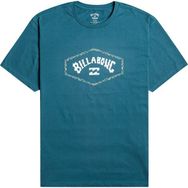 Billabong EBYZT00104 Exit Arch Renkli Erkek T-shirt