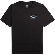 Billabong EBYZT00107-BLK Arch Dreamy Place Ss Siyah Erkek T-shirt