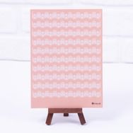 Bimotif A5 2 Sayfa Dantel Motifli Somon Sticker Seti