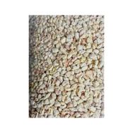 Bio Kitty Mısır Granülü 1 kg Kedi Kumu