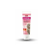 Bio PetActive 100 ml Vitalicat Junior Taurin Ve Biotin Yavru Kedi Macunu