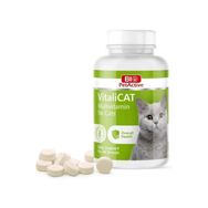 Bio PetActive 60 Adet Vitalicat Kediler İçin Multivitamin Tableti
