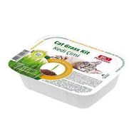 Bio PetActive Grass Kit Natural Kedi Çimi