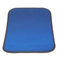 Bio Sand 55 x 45 cm Mavi Elekli Kedi Tuvalet Önü Paspası