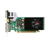 Biostar GeForce G210 1GB DDR3 Ekran Kartı