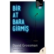 Bir At Bara Girmiş - David Grossman