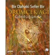 Bir Dahaki Sefer Bir Örümcek Ağı Gördüğünde - Emily Morgan