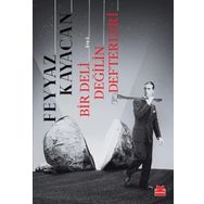 Bir Deli Değilin Defterleri - Feyyaz Kayacan