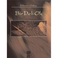 Bir Deli Ok - Hikmet Gülay