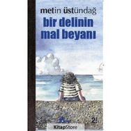 Bir Delinin Mal Beyanı - Metin Üstündağ