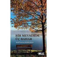 Bir Mevsimde Üç Bahar - Halil İbrahim Kahraman